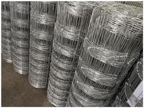 塑料制品铁丝网价格 塑料制品铁丝网批发 塑料制品铁丝网厂家